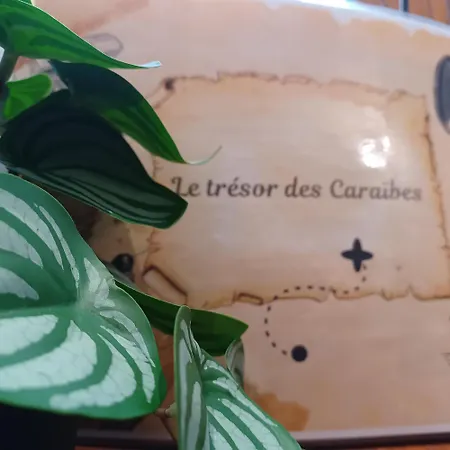 Le Tresor Des Caraibes